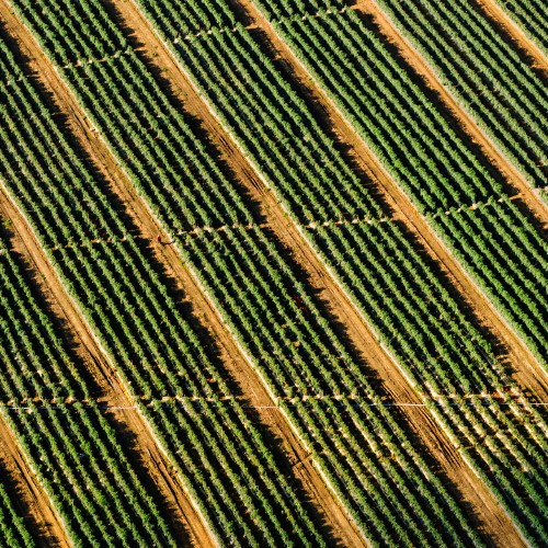 Ingeniería agrícola