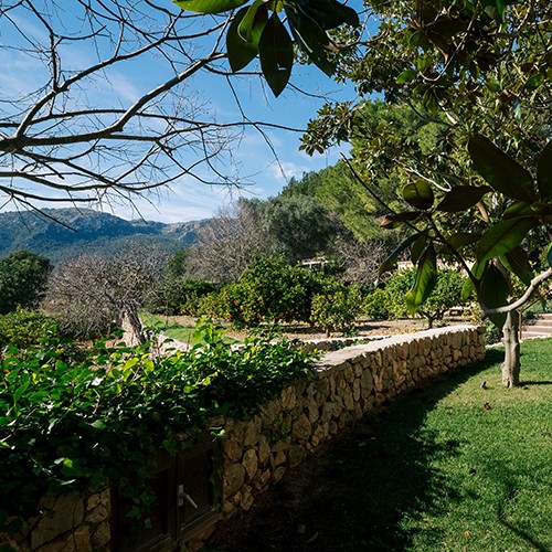 Mantenimiento de jardines