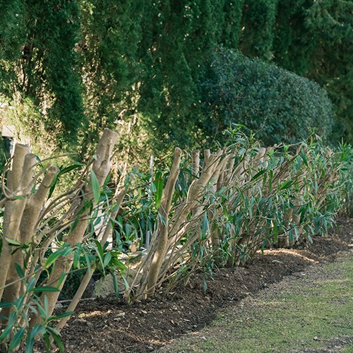 Mantenimiento de jardines
